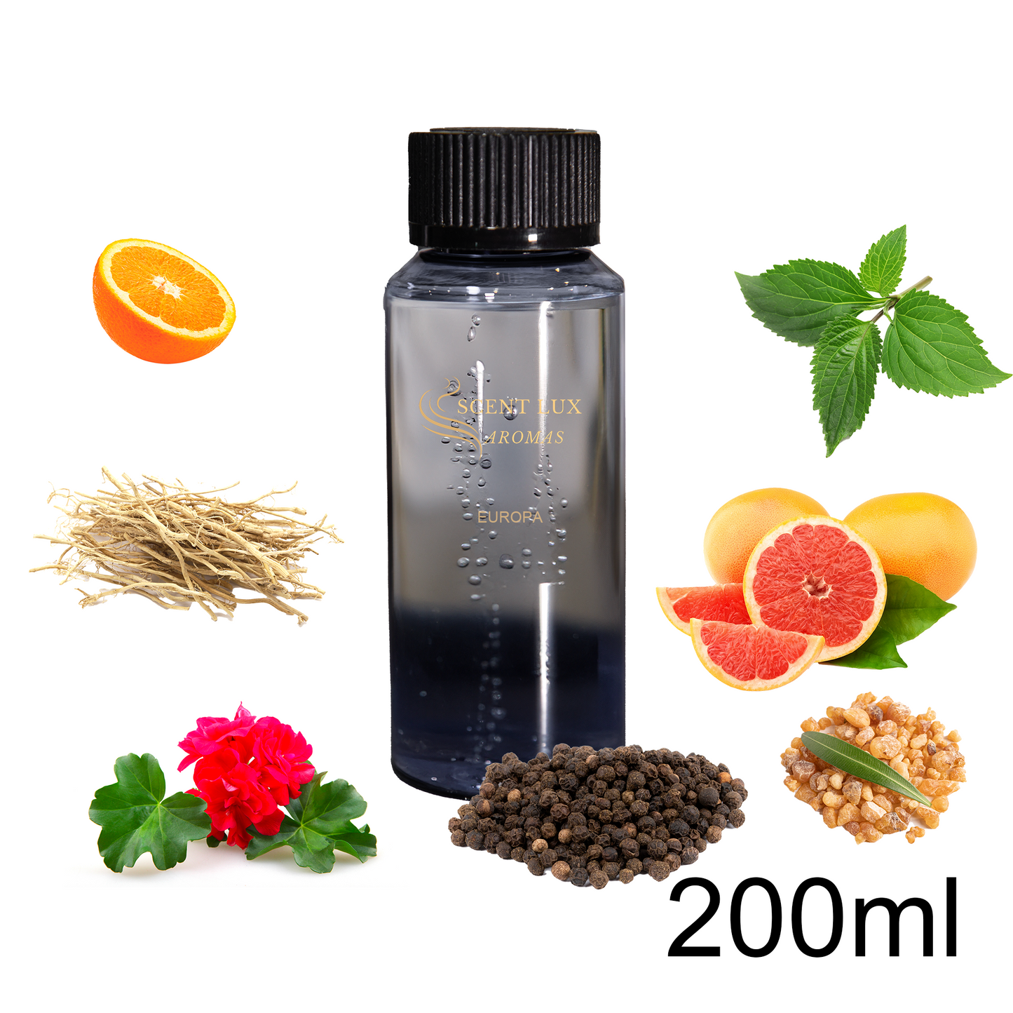 EUROPA - Woody Spicy