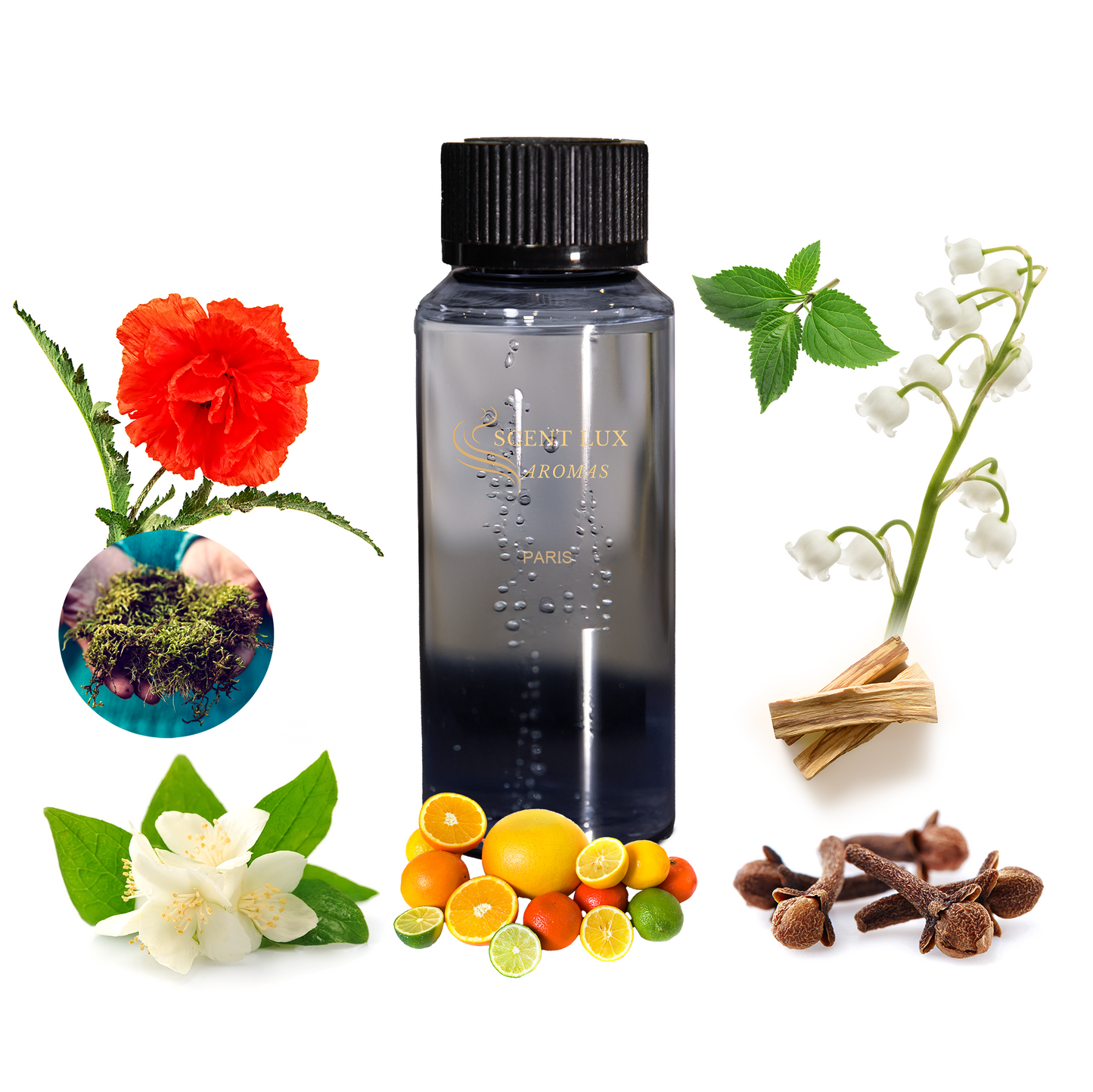 PARIS - Oriental Floral