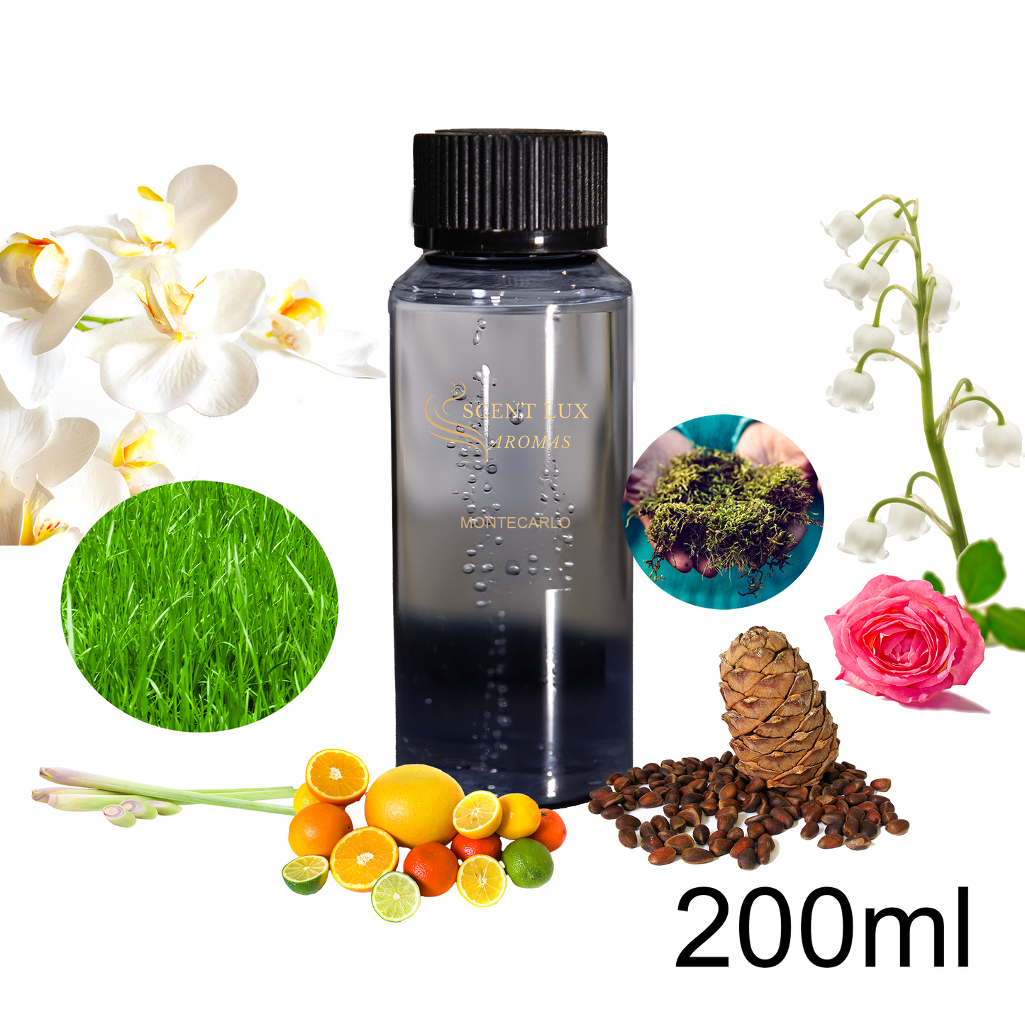 MONTECARLO - Herbal Floral