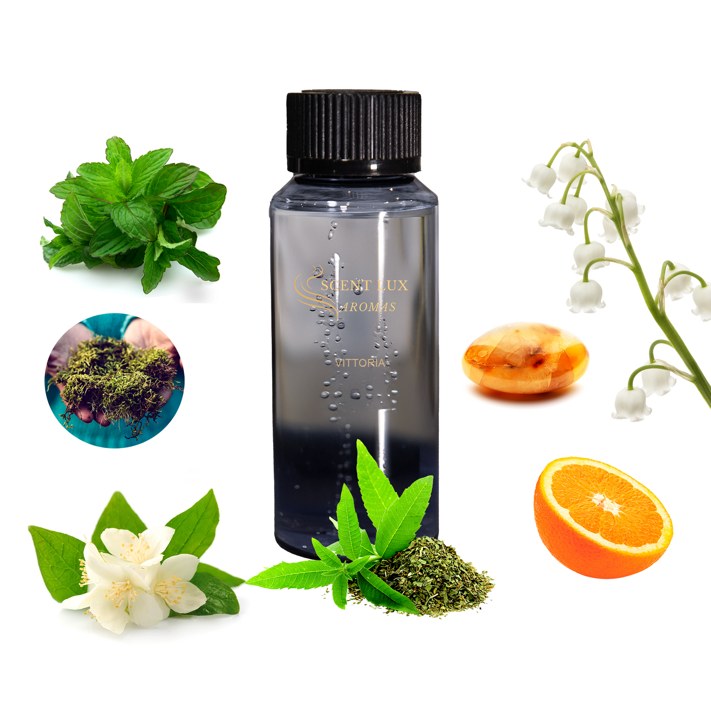 VITTORIA - Floral Frutal